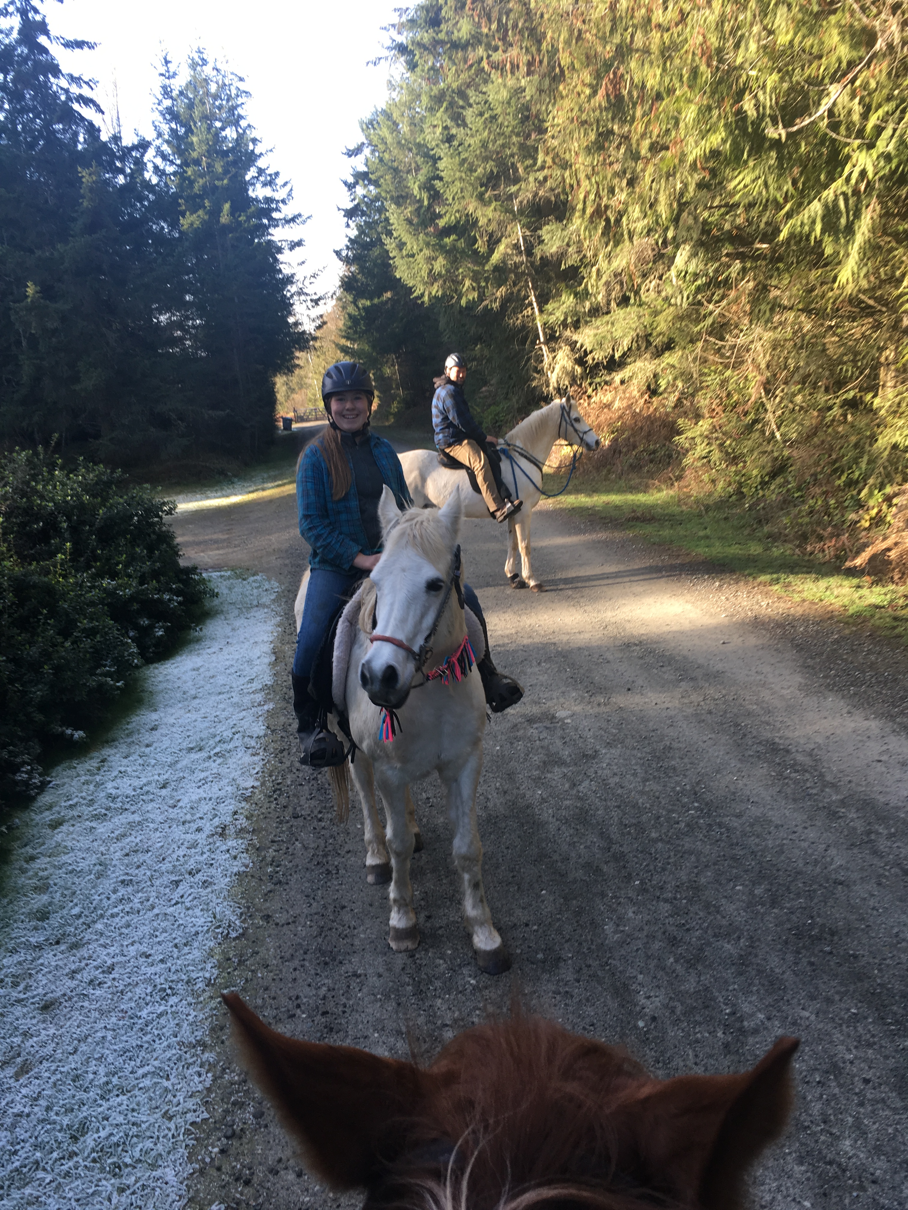 394540C4-62DF-4B52-975E-F1273045CFA8