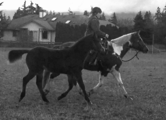 ce7cc168-c577-4870-a6b2-d3ffbcbbec1b