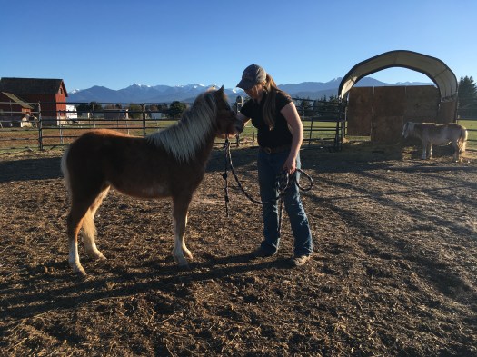 8E0BAA0A-1D60-435C-AB62-8BAB76F3C75A