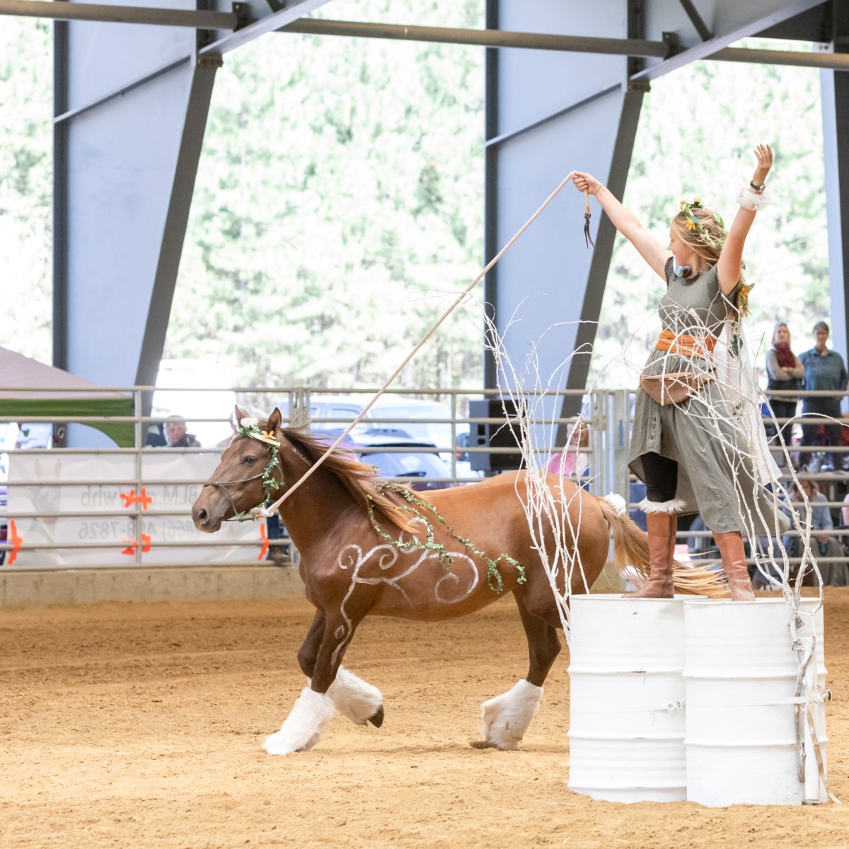 Mustang Story #5: Never under-estimate the plain brown&nbsp;yearlings!