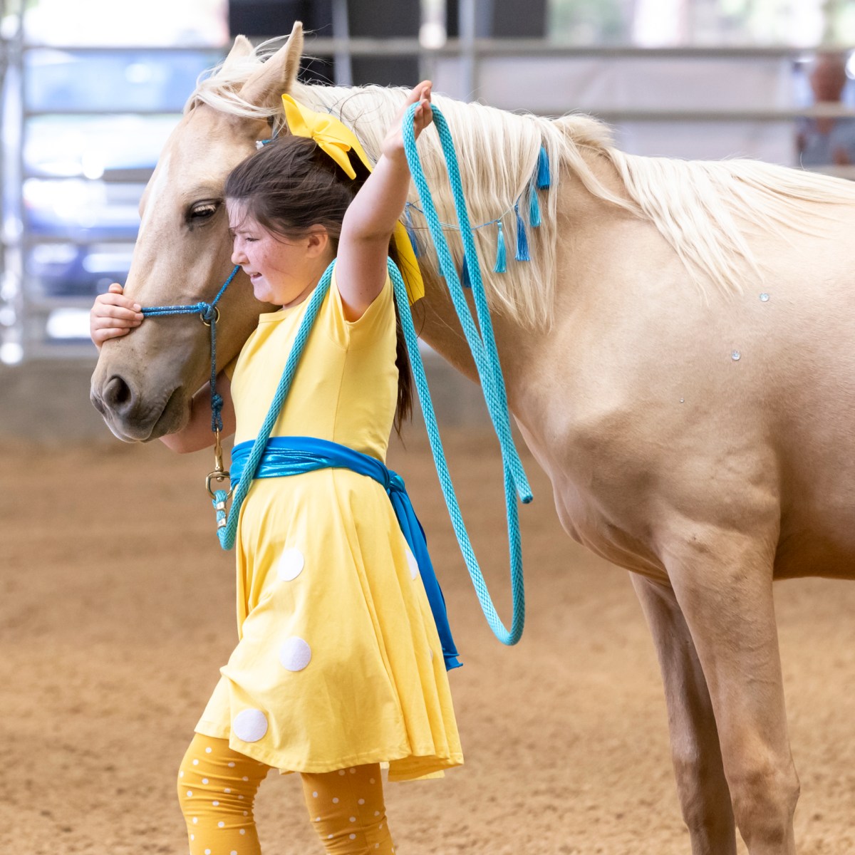 Mustang Story #6: Can an 8yr old train a wild&nbsp;Mustang?