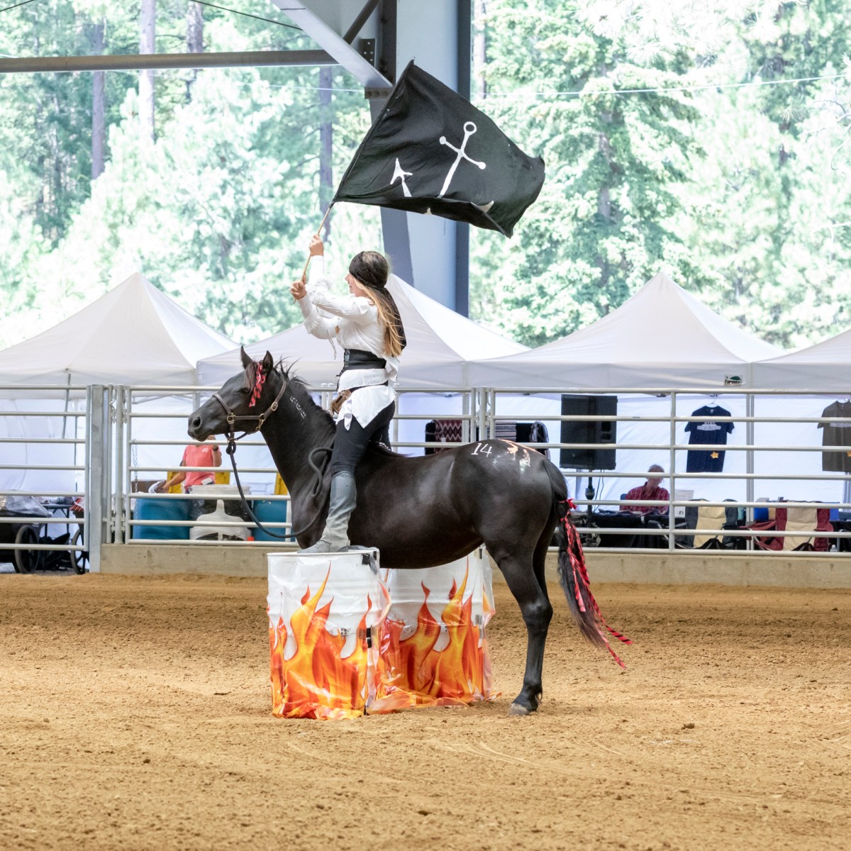 Mustang Story #4: From Winning The MYWY Mustang Madness Competition To Ranching in&nbsp;Montana!