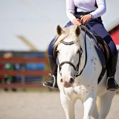 Mustang Story #1: Our Very First&nbsp;Mustang!