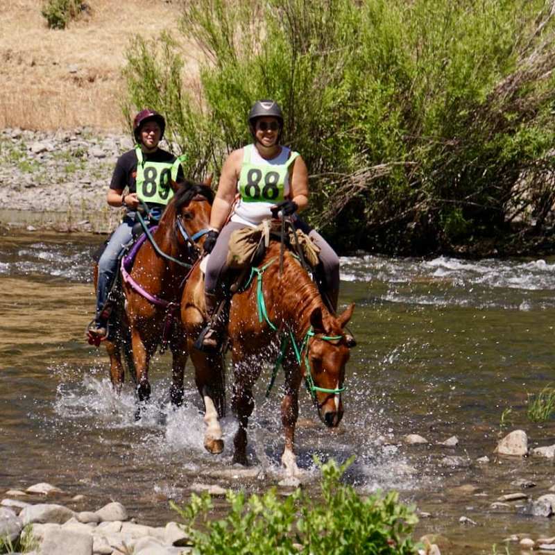 Mustang Story #7: Could I ride a WILD Mustang  in only 100&nbsp;day?!?