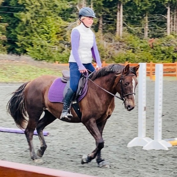 Mustang Story #10! Is her leg&nbsp;broken?!?