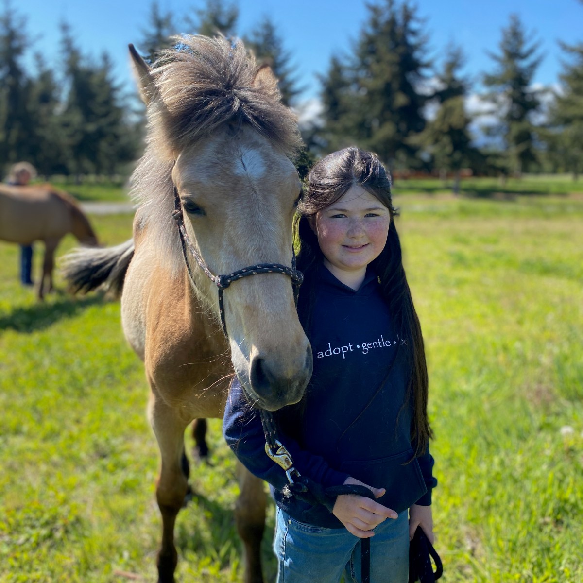 Mustang Story #11: The little yearling with a BIG&nbsp;personality!