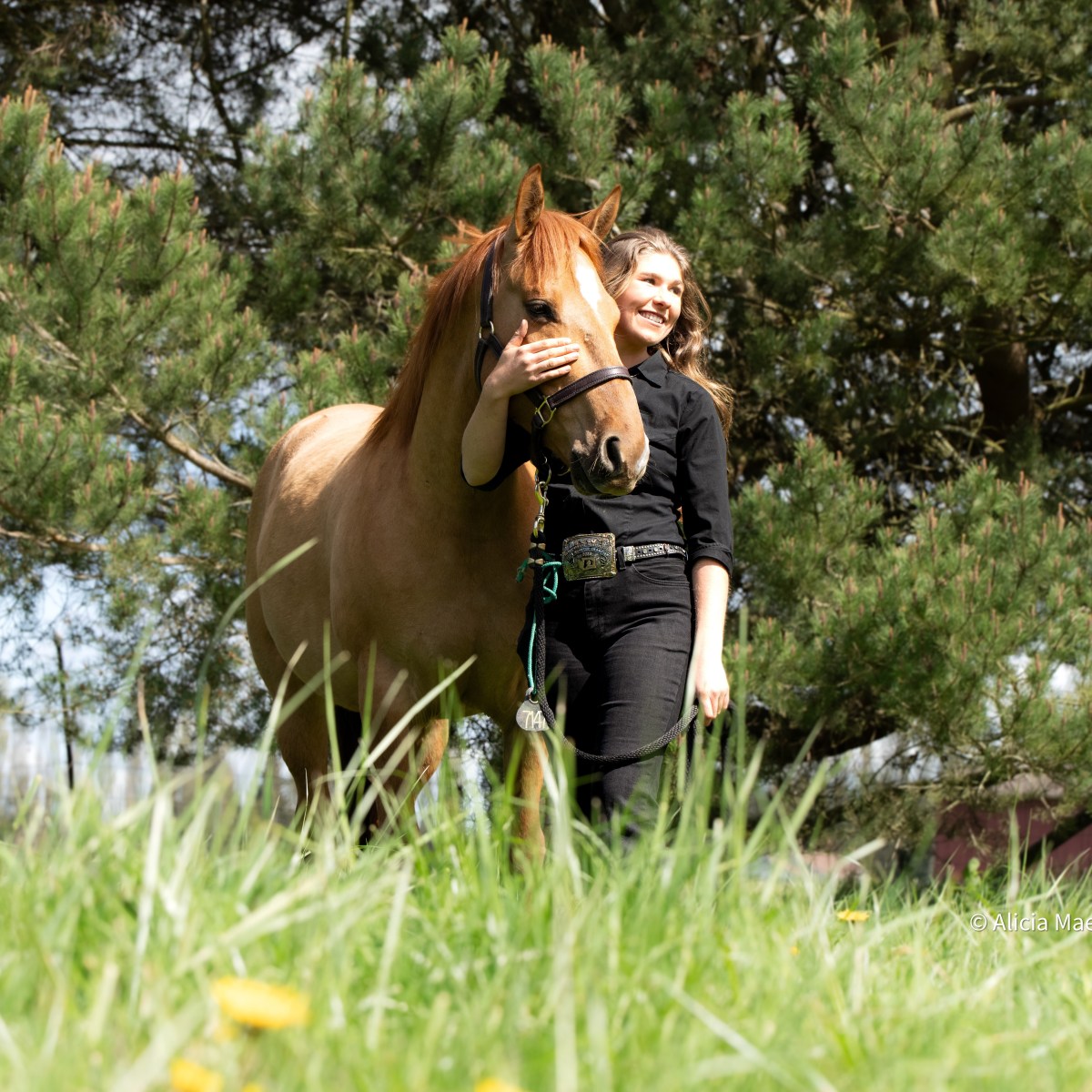 Mustang Story #9: The most judgmental Mustang I have EVER&nbsp;met!