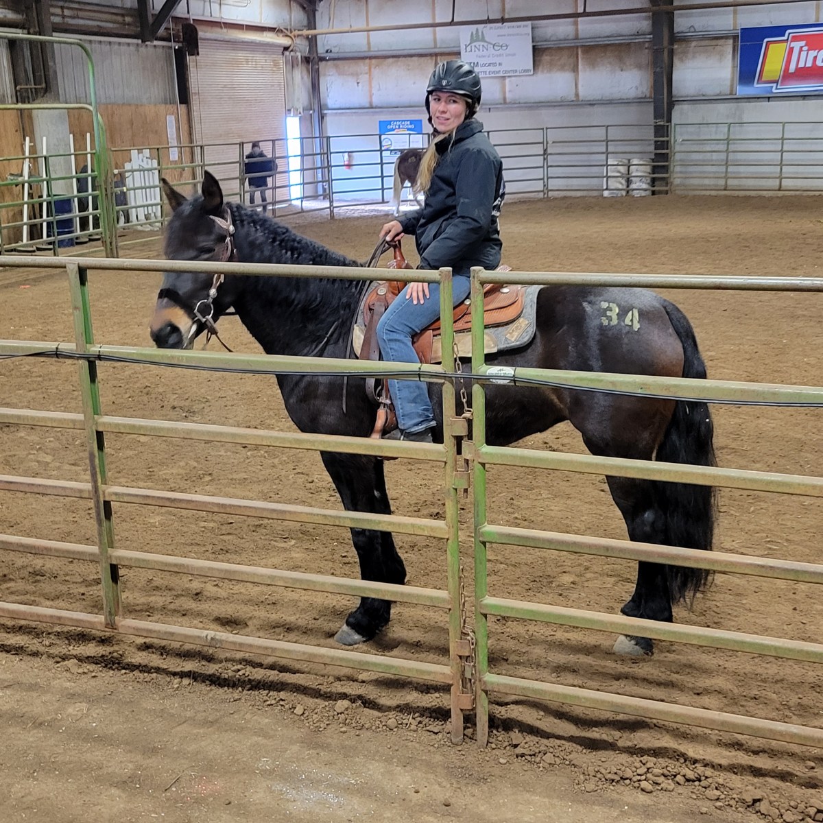 Mustang Story #14: Showing a Mustang at the NW Horse&nbsp;Expo!