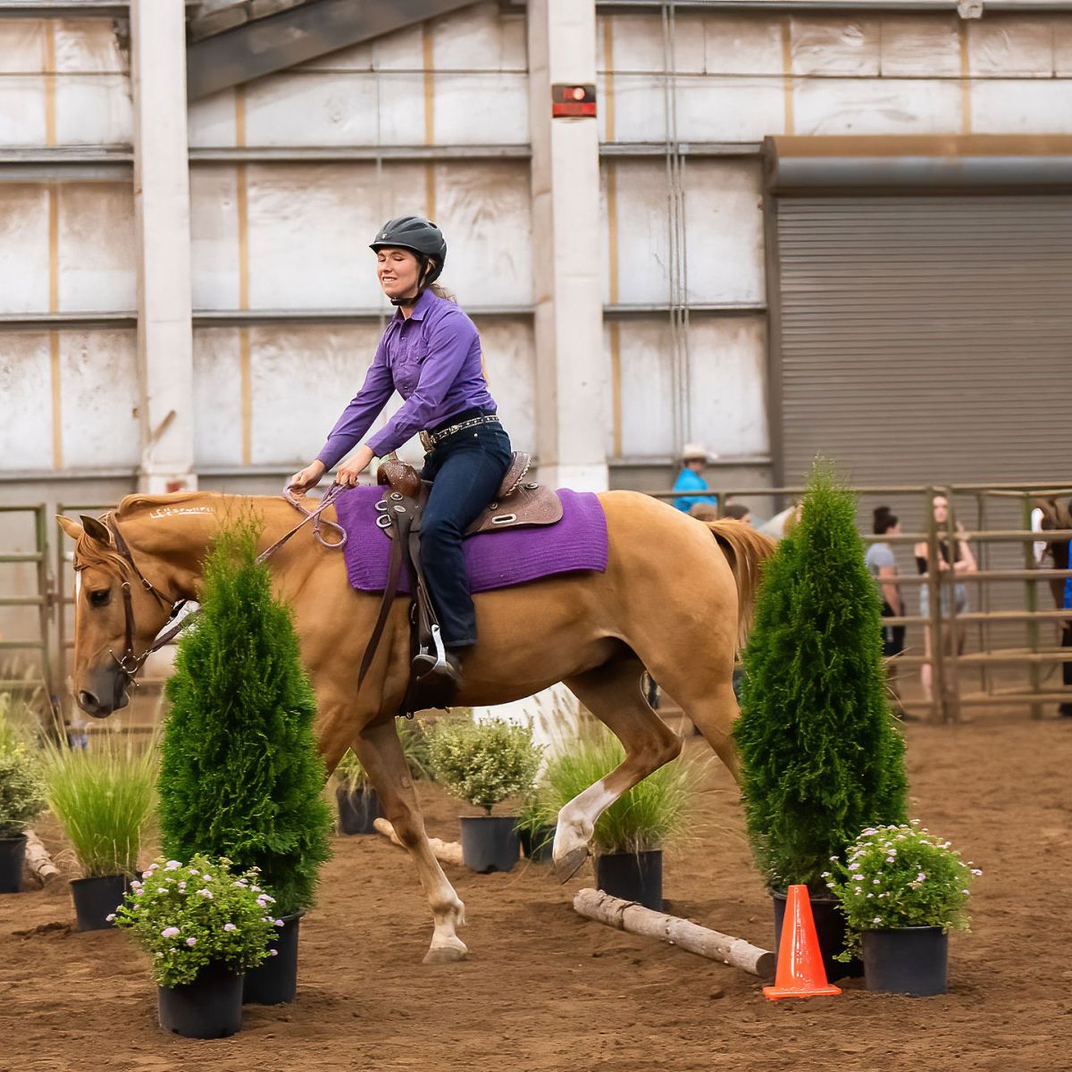 Mustang Story #13: From completely WILD  to a 4-H&nbsp;Champion!